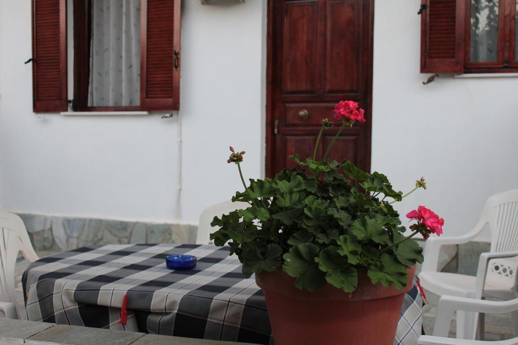 Ballas Apartments Айя-Евфимия Номер фото