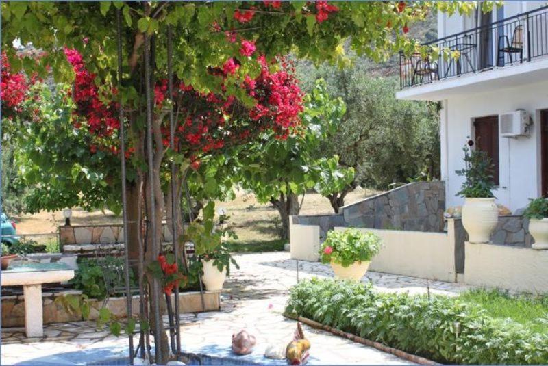 Ballas Apartments Айя-Евфимия Экстерьер фото